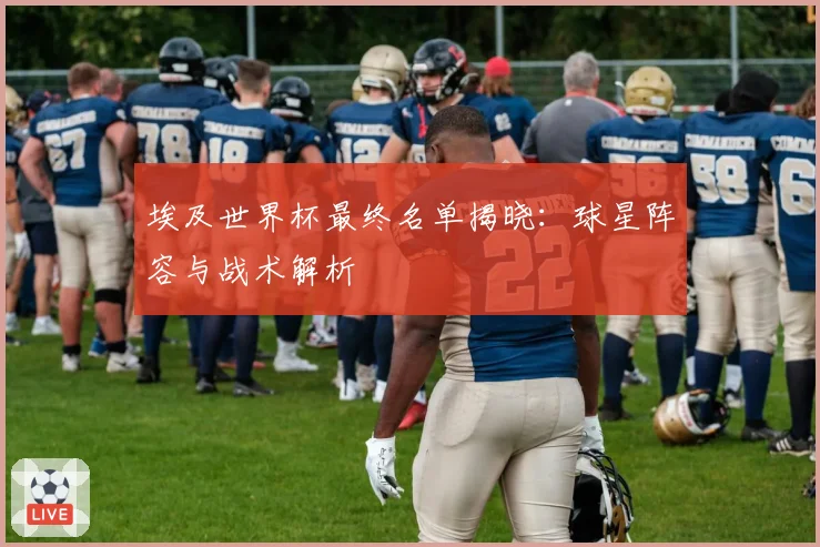 埃及世界杯最终名单揭晓：球星阵容与战术解析